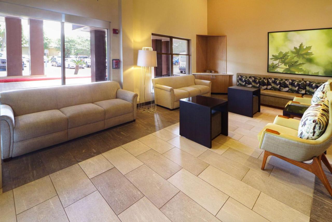 Wyndham Garden Mcallen At La Plaza Mall McAllen Exterior foto
